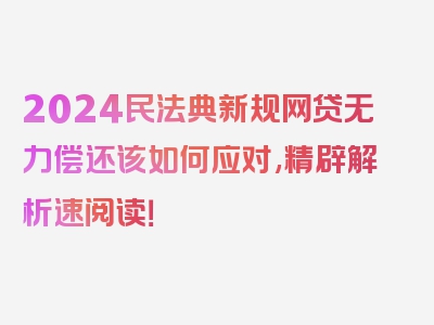 2024民法典新规网贷无力偿还该如何应对,精辟解析速阅读！