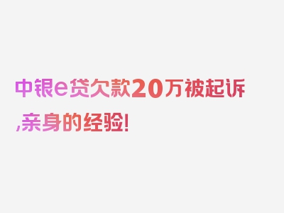 中银e贷欠款20万被起诉,亲身的经验！