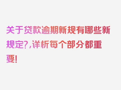 关于贷款逾期新规有哪些新规定?，详析每个部分都重要！