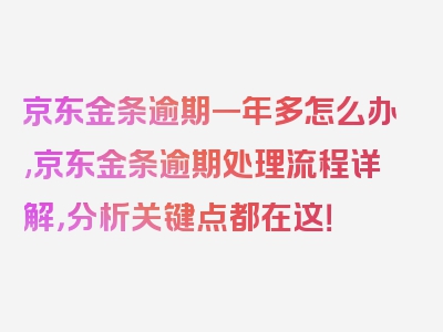 京东金条逾期一年多怎么办,京东金条逾期处理流程详解，分析关键点都在这！