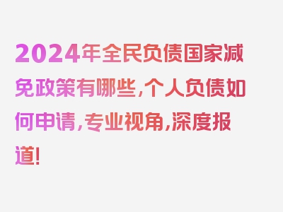 2024年全民负债国家减免政策有哪些,个人负债如何申请，专业视角，深度报道！