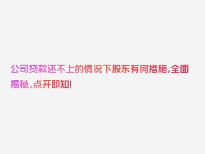 公司贷款还不上的情况下股东有何措施，全面揭秘，点开即知！