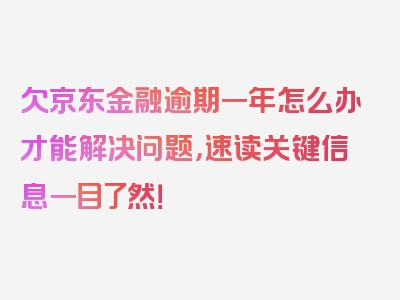 欠京东金融逾期一年怎么办才能解决问题，速读关键信息一目了然！