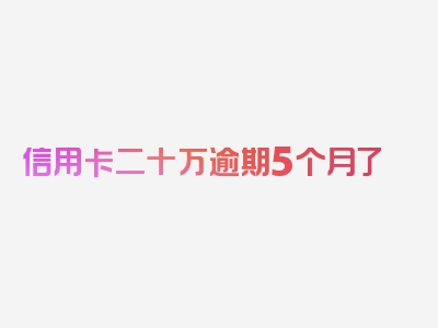 信用卡二十万逾期5个月了