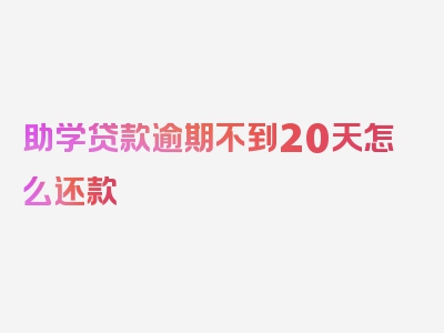 助学贷款逾期不到20天怎么还款