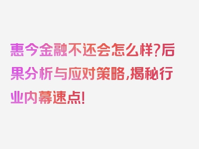 惠今金融不还会怎么样?后果分析与应对策略,揭秘行业内幕速点！