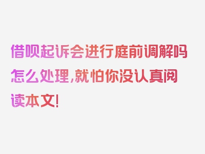 借呗起诉会进行庭前调解吗怎么处理,就怕你没认真阅读本文!