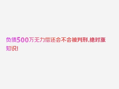 负债500万无力偿还会不会被判刑,绝对涨知识！