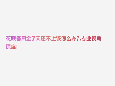 花呗备用金7天还不上该怎么办?,专业视角深度！