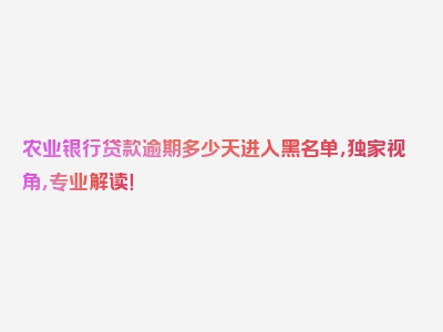 农业银行贷款逾期多少天进入黑名单，独家视角，专业解读！