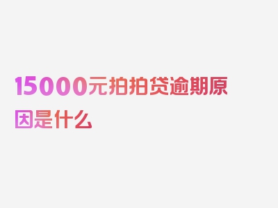 15000元拍拍贷逾期原因是什么