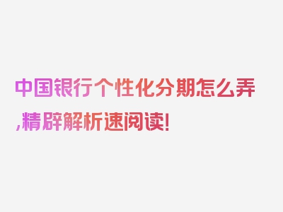 中国银行个性化分期怎么弄,精辟解析速阅读！