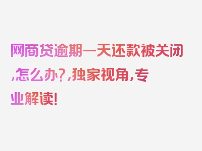 网商贷逾期一天还款被关闭,怎么办?，独家视角，专业解读！