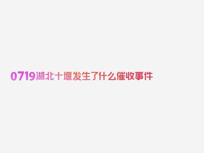 0719湖北十堰发生了什么催收事件