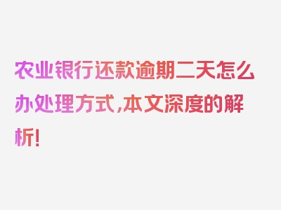 农业银行还款逾期二天怎么办处理方式，本文深度的解析！