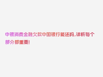 中银消费金融欠款中国银行能还吗，详析每个部分都重要！