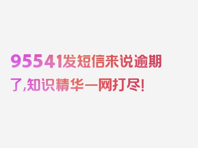 95541发短信来说逾期了,知识精华一网打尽！