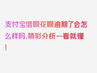 支付宝借呗花呗逾期了会怎么样吗,精彩分析一看就懂！