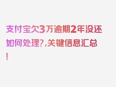 支付宝欠3万逾期2年没还如何处理?，关键信息汇总！