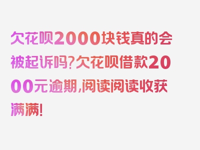 欠花呗2000块钱真的会被起诉吗?欠花呗借款2000元逾期,阅读阅读收获满满！