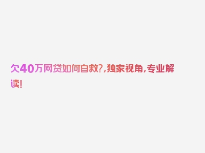 欠40万网贷如何自救?，独家视角，专业解读！