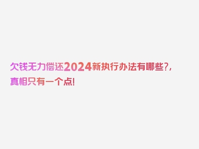 欠钱无力偿还2024新执行办法有哪些?,真相只有一个点！