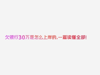 欠银行30万是怎么上岸的，一篇读懂全部！