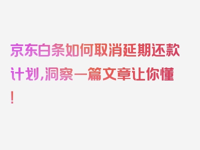 京东白条如何取消延期还款计划，洞察一篇文章让你懂！