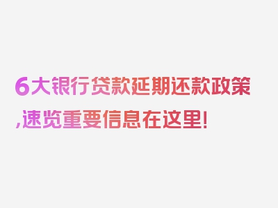 6大银行贷款延期还款政策，速览重要信息在这里！