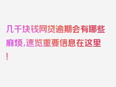 几千块钱网贷逾期会有哪些麻烦，速览重要信息在这里！