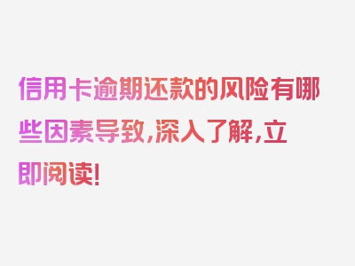 信用卡逾期还款的风险有哪些因素导致，深入了解，立即阅读！