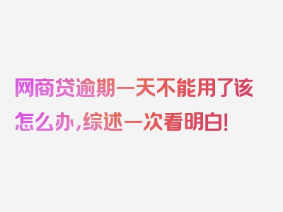 网商贷逾期一天不能用了该怎么办，综述一次看明白！