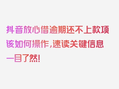 抖音放心借逾期还不上款项该如何操作，速读关键信息一目了然！