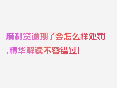 麻利贷逾期了会怎么样处罚，精华解读不容错过！