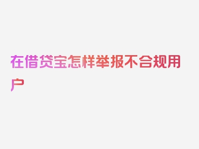 在借贷宝怎样举报不合规用户