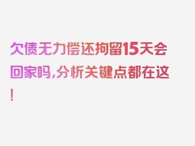 欠债无力偿还拘留15天会回家吗，分析关键点都在这！