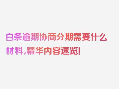 白条逾期协商分期需要什么材料，精华内容速览！