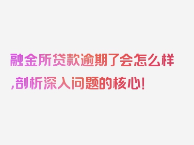 融金所贷款逾期了会怎么样，剖析深入问题的核心！