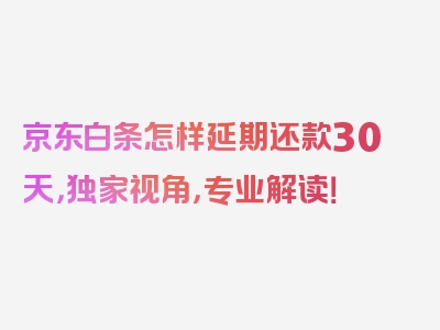 京东白条怎样延期还款30天，独家视角，专业解读！