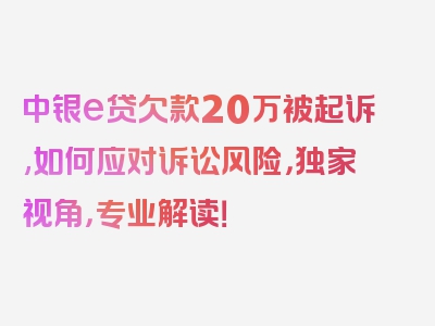 中银e贷欠款20万被起诉,如何应对诉讼风险，独家视角，专业解读！