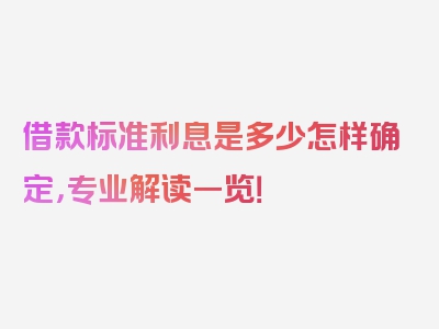 借款标准利息是多少怎样确定，专业解读一览！