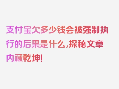 支付宝欠多少钱会被强制执行的后果是什么，探秘文章内藏乾坤！