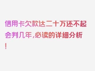 信用卡欠款达二十万还不起会判几年，必读的详细分析！