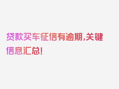 贷款买车征信有逾期，关键信息汇总！