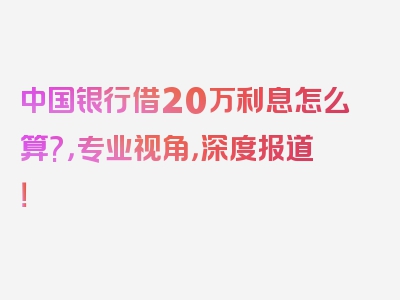 中国银行借20万利息怎么算?，专业视角，深度报道！