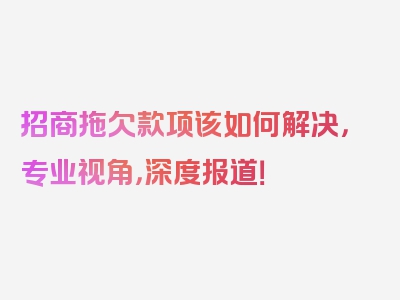 招商拖欠款项该如何解决，专业视角，深度报道！