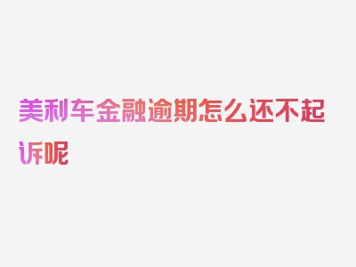 美利车金融逾期怎么还不起诉呢