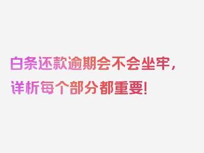 白条还款逾期会不会坐牢，详析每个部分都重要！