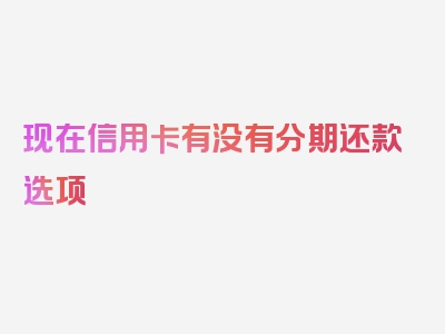 现在信用卡有没有分期还款选项