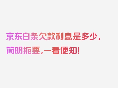 京东白条欠款利息是多少，简明扼要，一看便知！